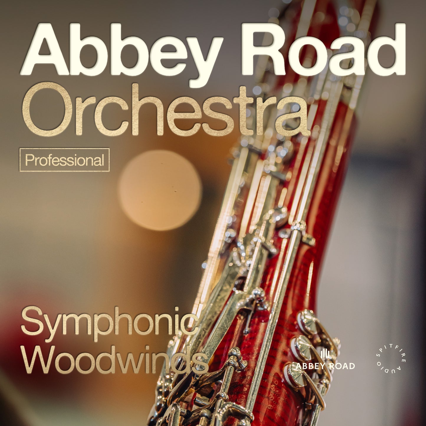 Abbey Road Orchestra: Symphonic Woodwinds Professional
