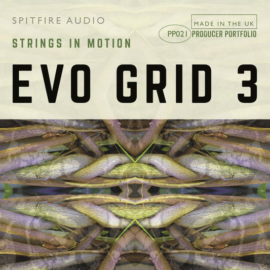 Evo Grid 3