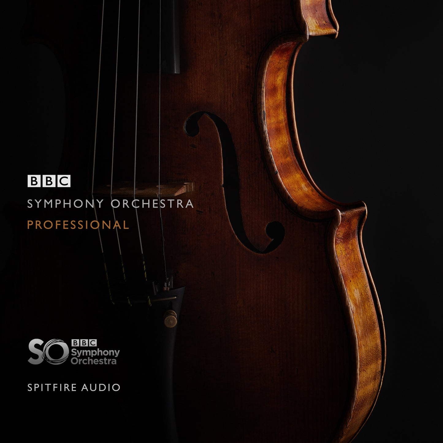 BBC Symphony Orchestra Professional