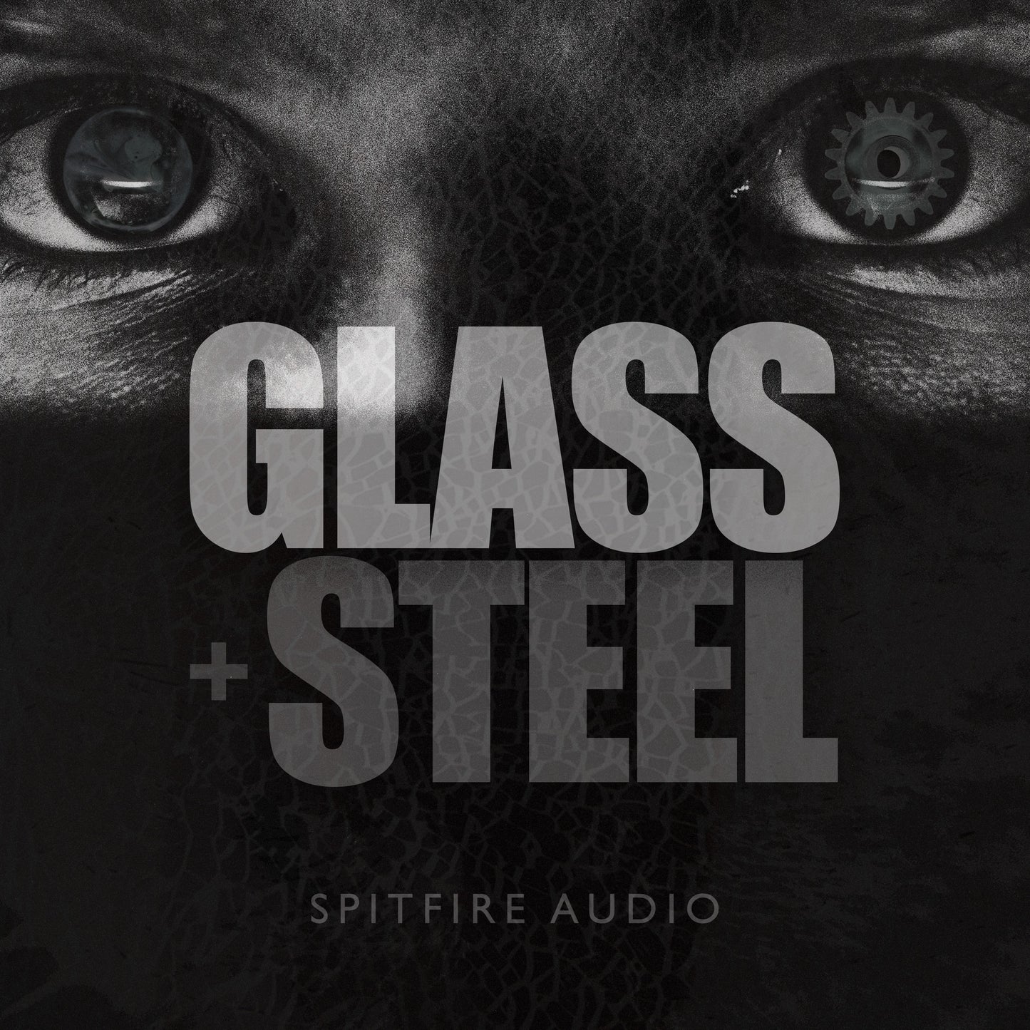 Glass and Steel