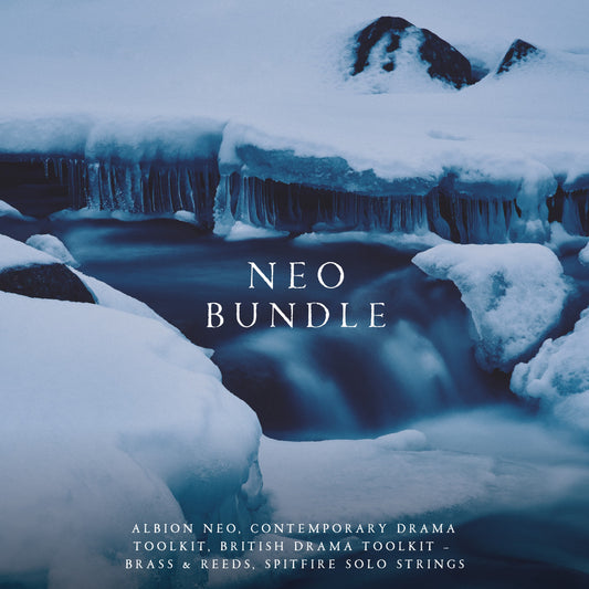Neo Bundle
